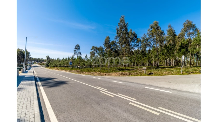 Terreno para Venda em Milagres Foto 9