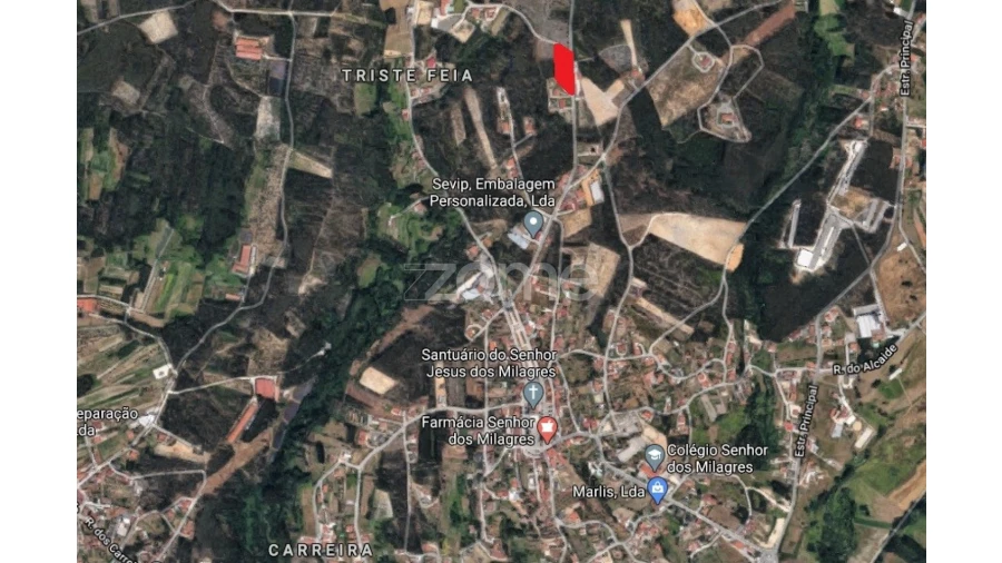 Terreno para Venda em Milagres Foto 13