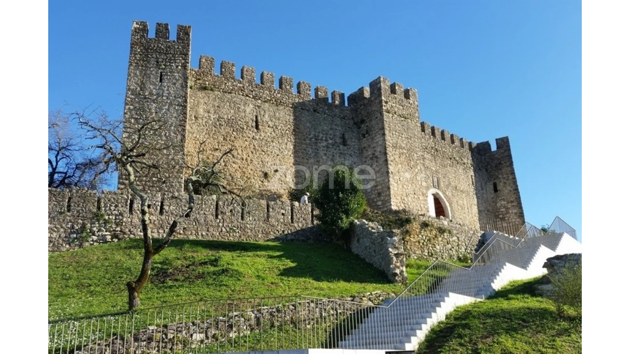 Negócio para Venda em Pombal Foto 2