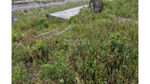 Terreno para Venda em Tavarede