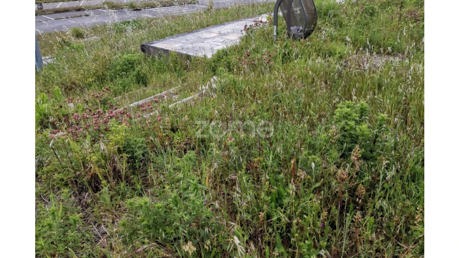 Terreno para Venda em Tavarede Foto 13