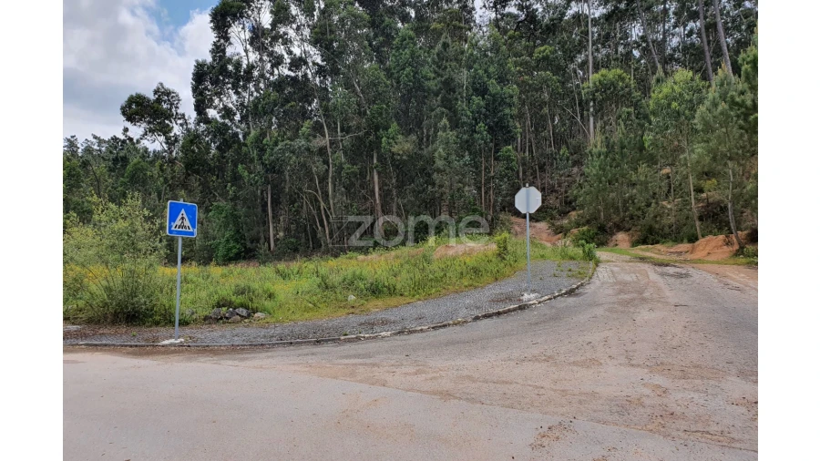 Terreno para Venda em Nossa Senhora das Misericordias Foto 15