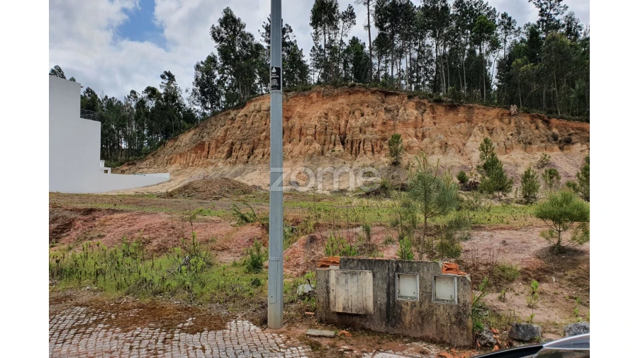 Terreno para Venda em Nossa Senhora das Misericordias Foto 17