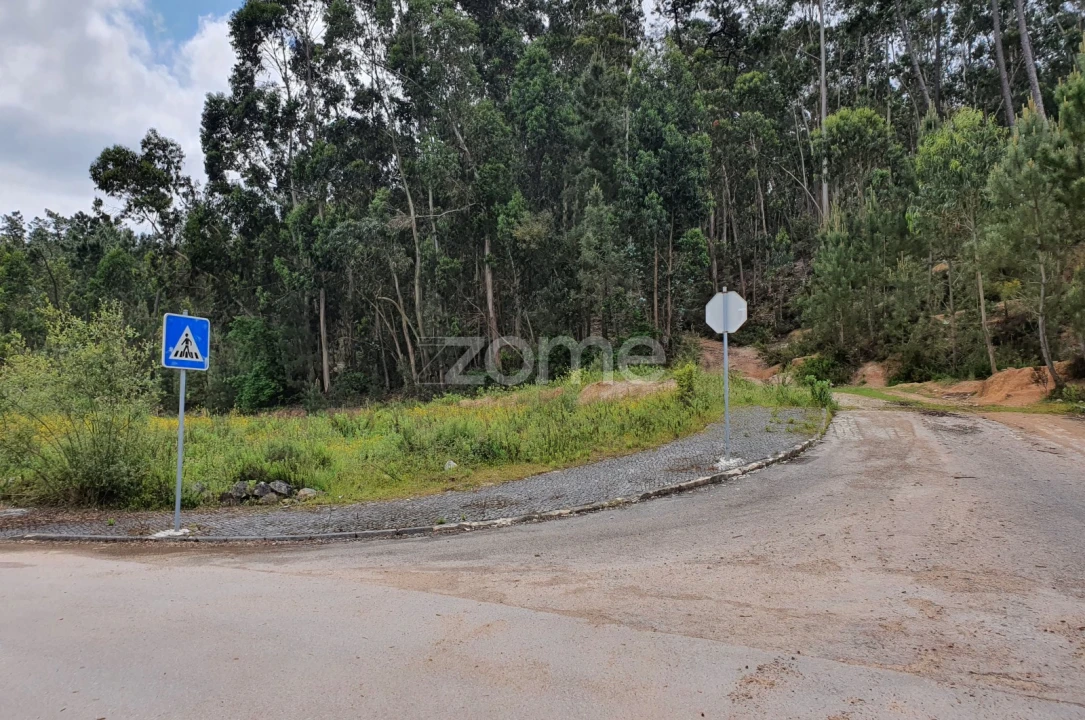 Terreno para Venda em Nossa Senhora das Misericordias Foto 15