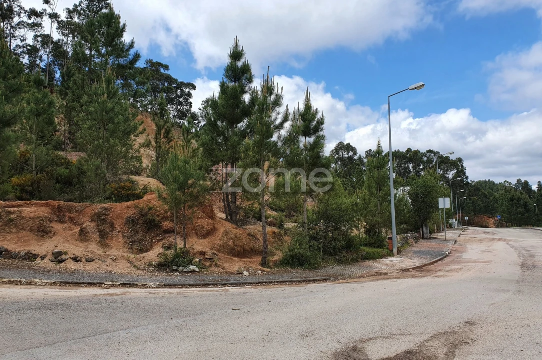 Terreno para Venda em Nossa Senhora das Misericordias Foto 12