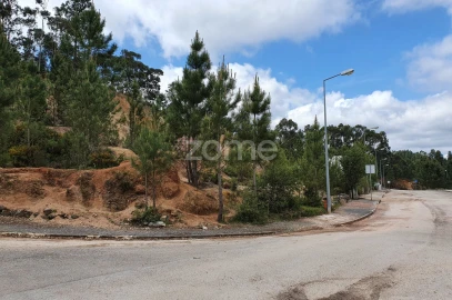 Terreno para Venda em Nossa Senhora das Misericordias
