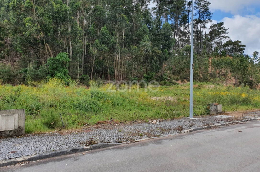 Terreno para Venda em Nossa Senhora das Misericordias Foto 9