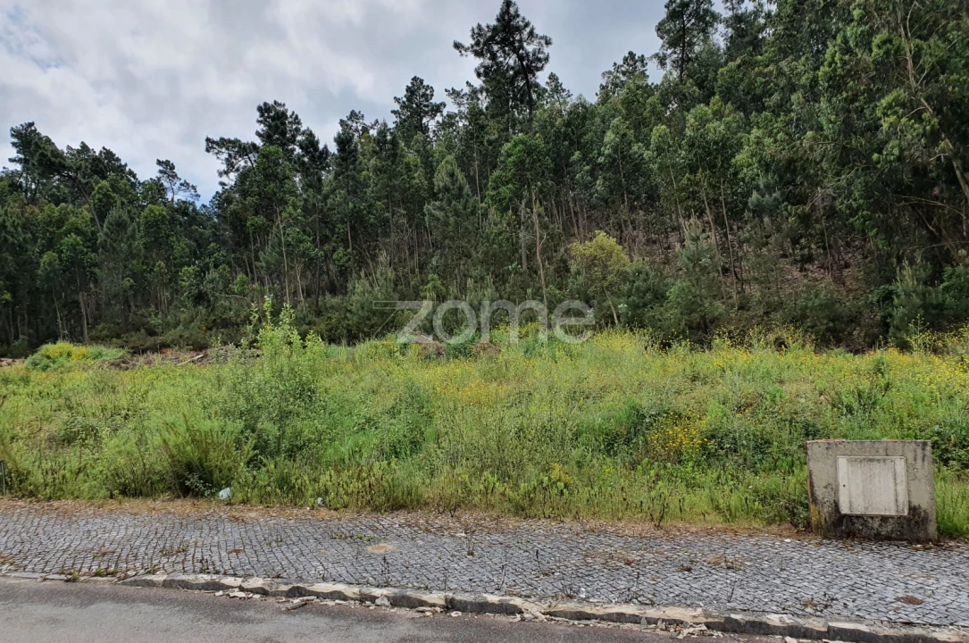 Terreno para Venda em Nossa Senhora das Misericordias Foto 7