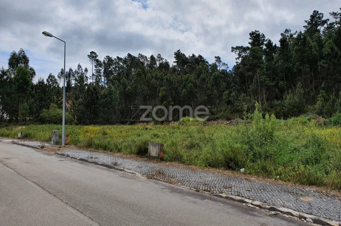 Terreno para Venda em Nossa Senhora das Misericordias Foto 8