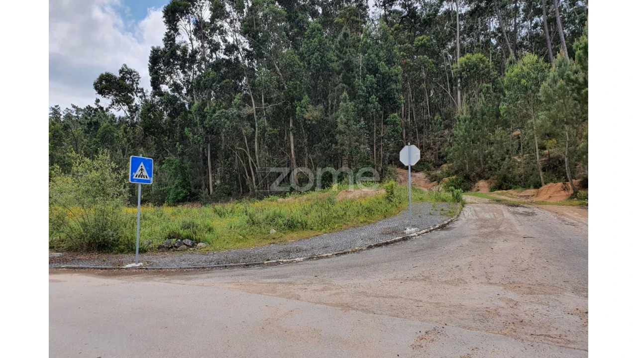 Terreno para Venda em Nossa Senhora das Misericordias Foto 14