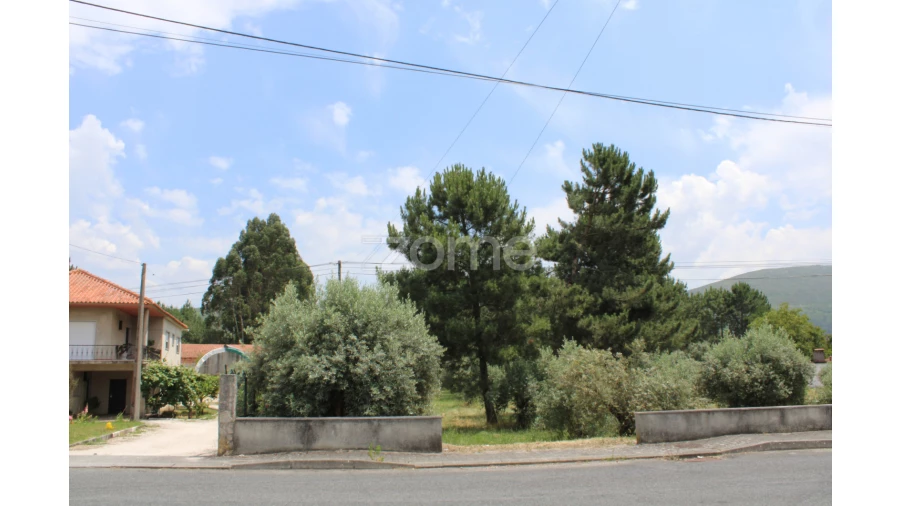 Terreno para Venda em Pedreiras Foto 13