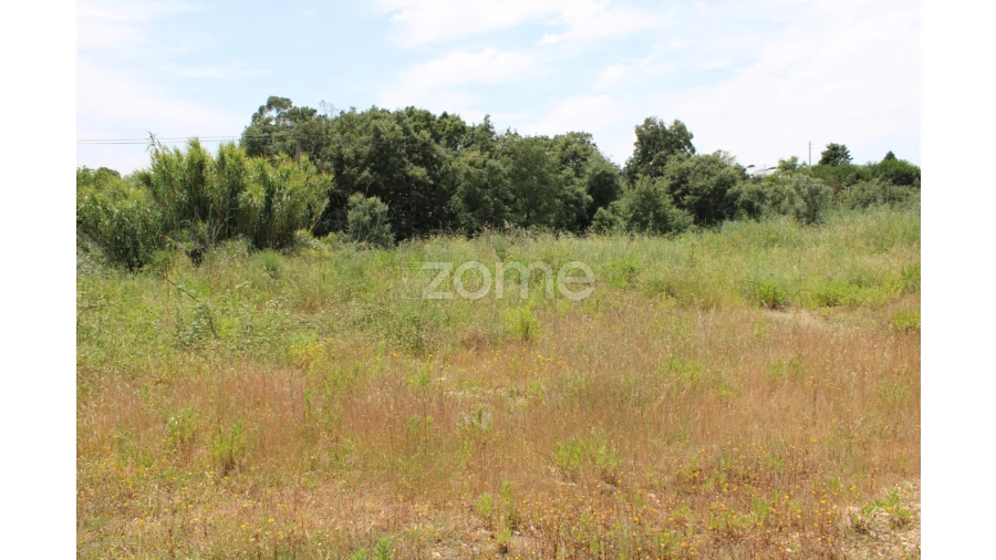 Terreno para Venda em Pedreiras Foto 11