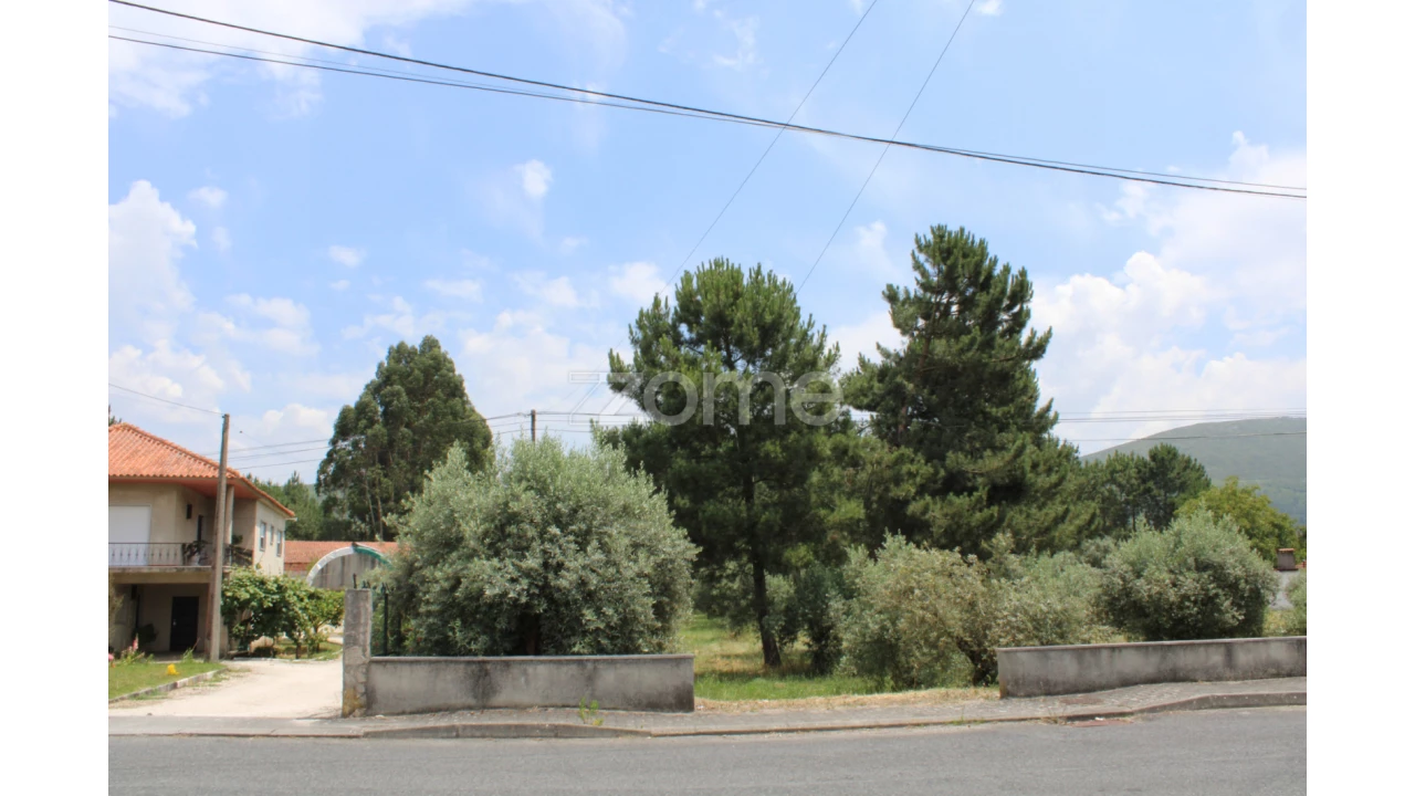 Terreno para Venda em Pedreiras Foto 13