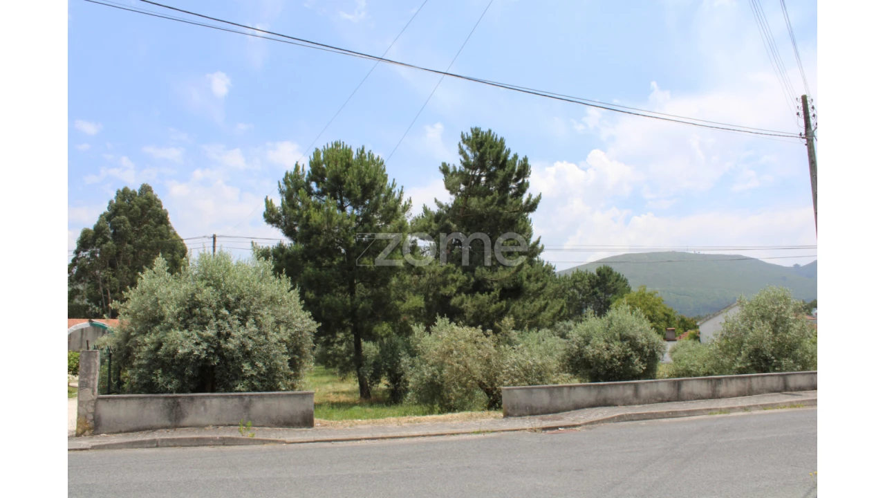 Terreno para Venda em Pedreiras Foto 9