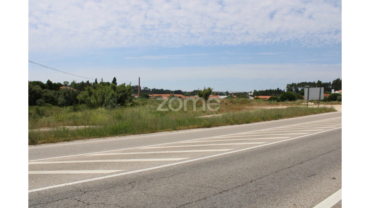 Terreno para Venda em Pedreiras Foto 16