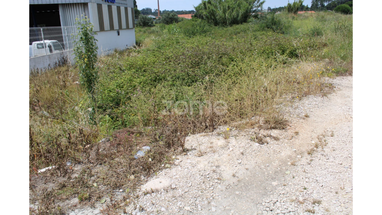 Terreno para Venda em Pedreiras Foto 17