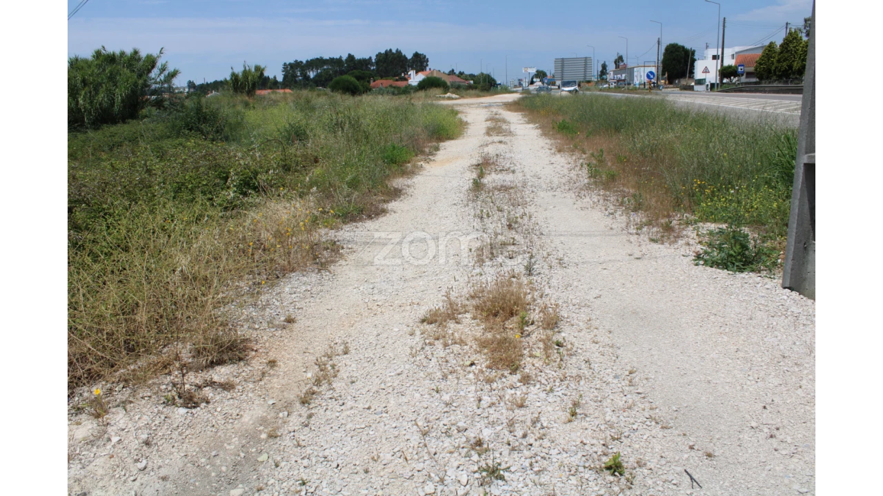 Terreno para Venda em Pedreiras Foto 10