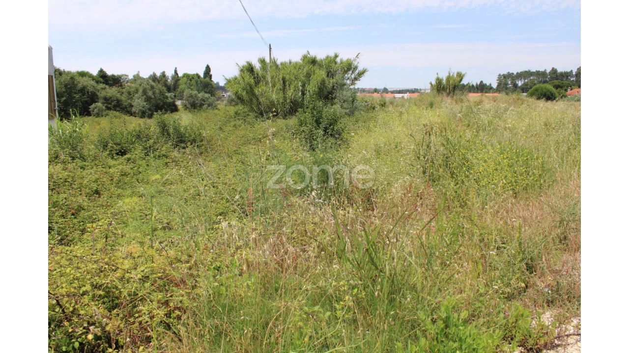 Terreno para Venda em Pedreiras Foto 19