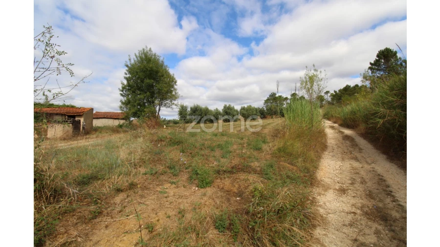 Terreno para Venda em Eiras e São Paulo de Frades