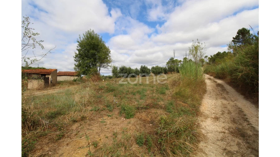 Terreno para Venda em Eiras e São Paulo de Frades Foto 4