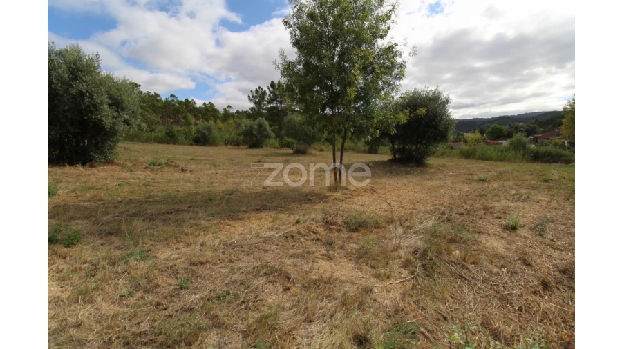 Terreno para Venda em Eiras e São Paulo de Frades Foto 8