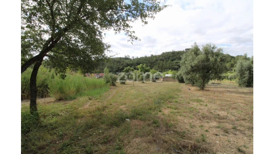 Terreno para Venda em Eiras e São Paulo de Frades Foto 10