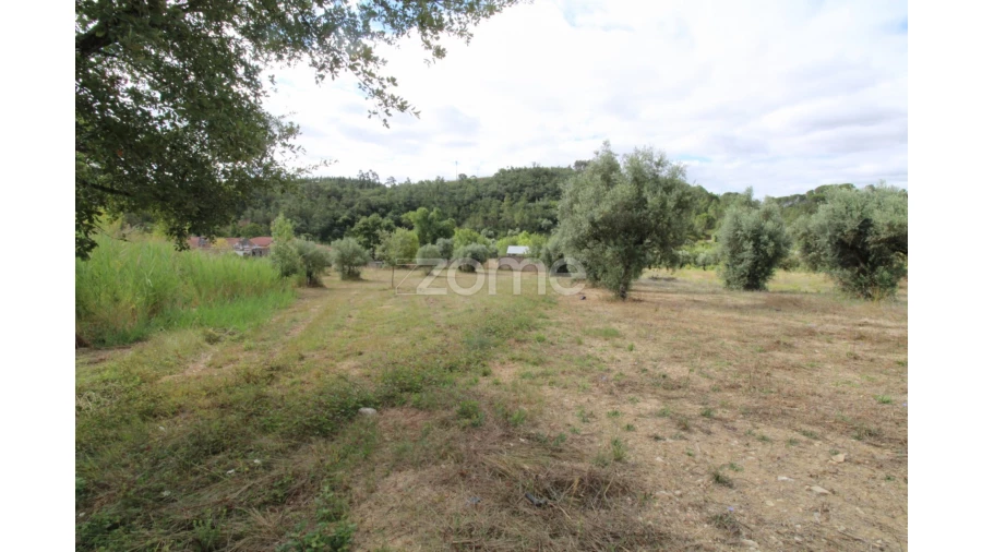 Terreno para Venda em Eiras e São Paulo de Frades Foto 11