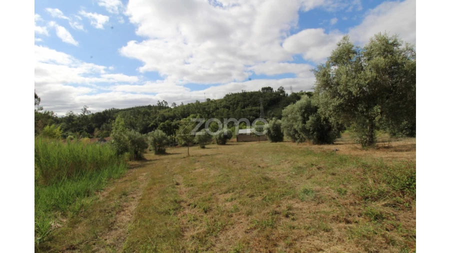 Terreno para Venda em Eiras e São Paulo de Frades Foto 13