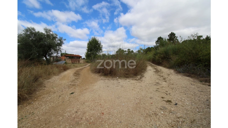 Terreno para Venda em Eiras e São Paulo de Frades Foto 16