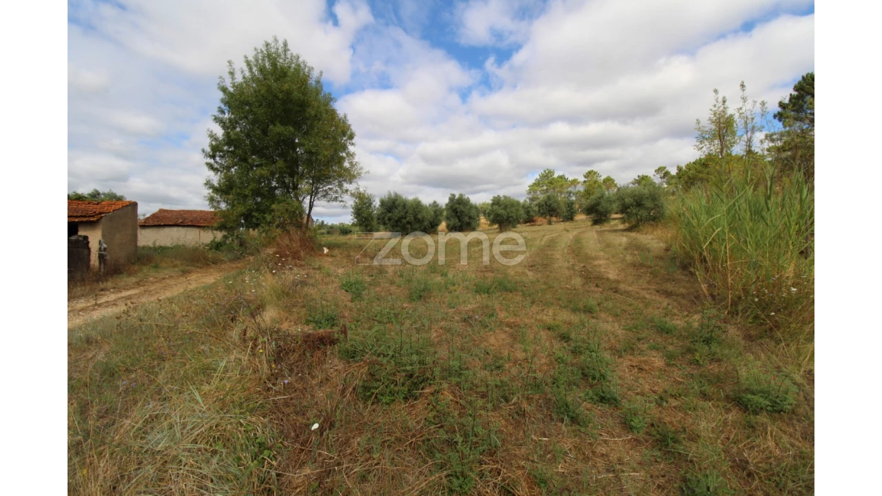 Terreno para Venda em Eiras e São Paulo de Frades Foto 6