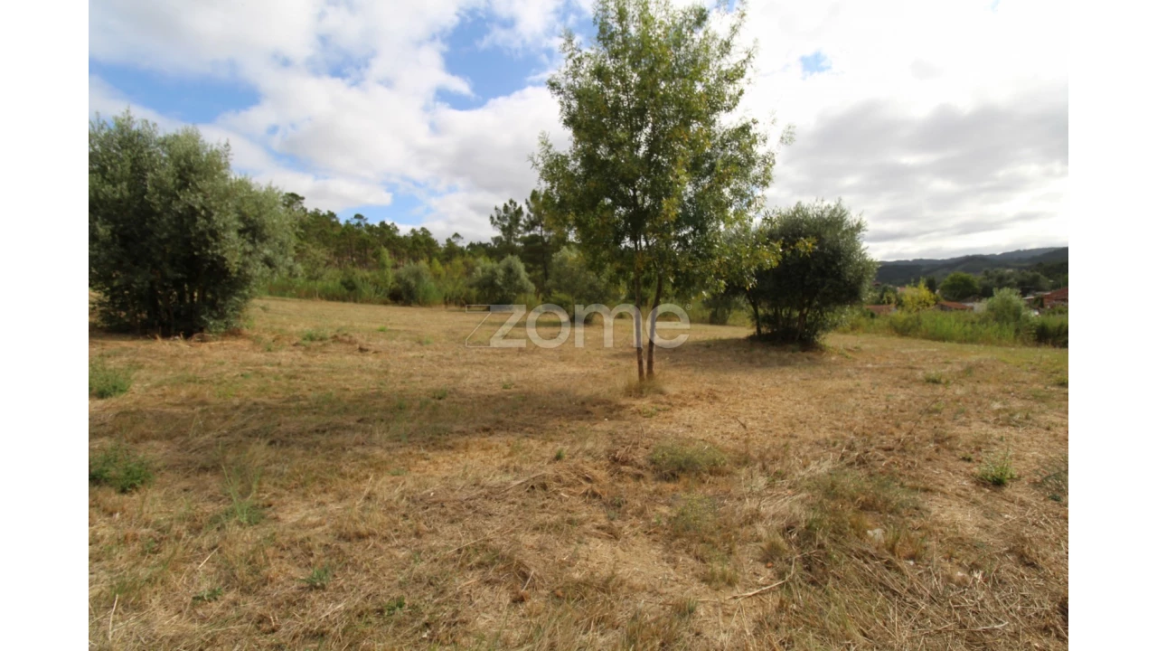 Terreno para Venda em Eiras e São Paulo de Frades Foto 7