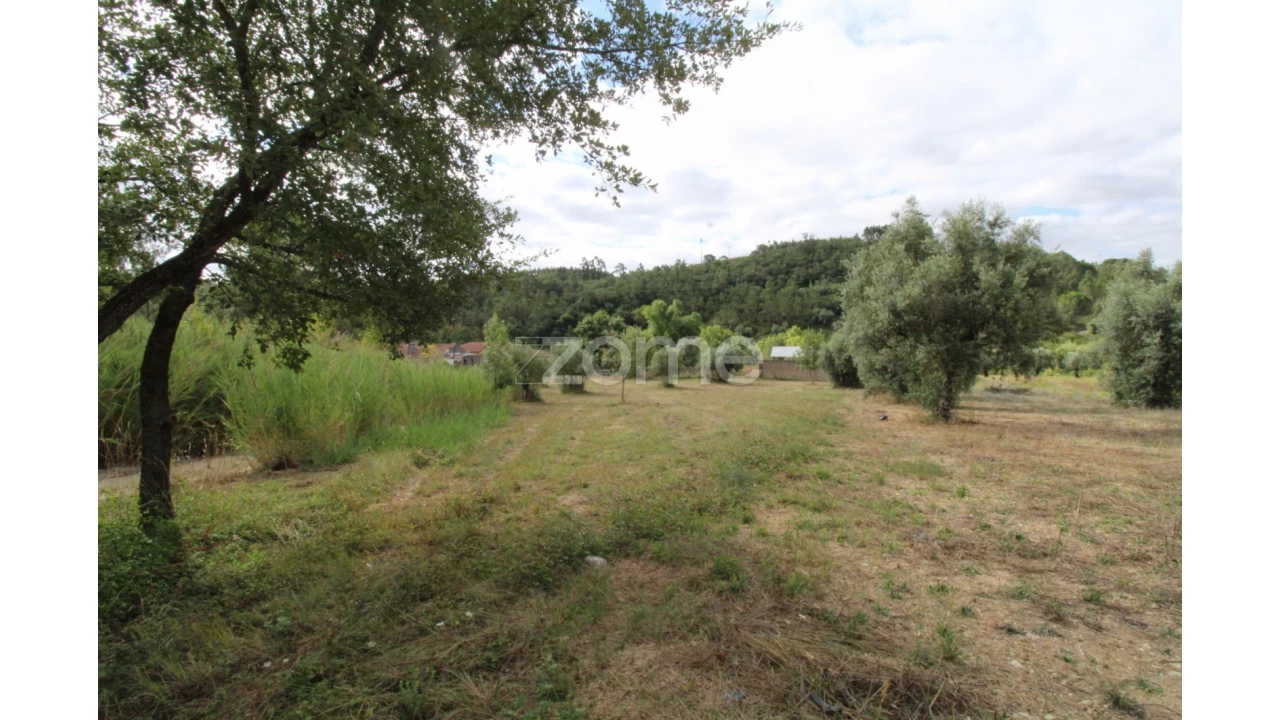 Terreno para Venda em Eiras e São Paulo de Frades Foto 10