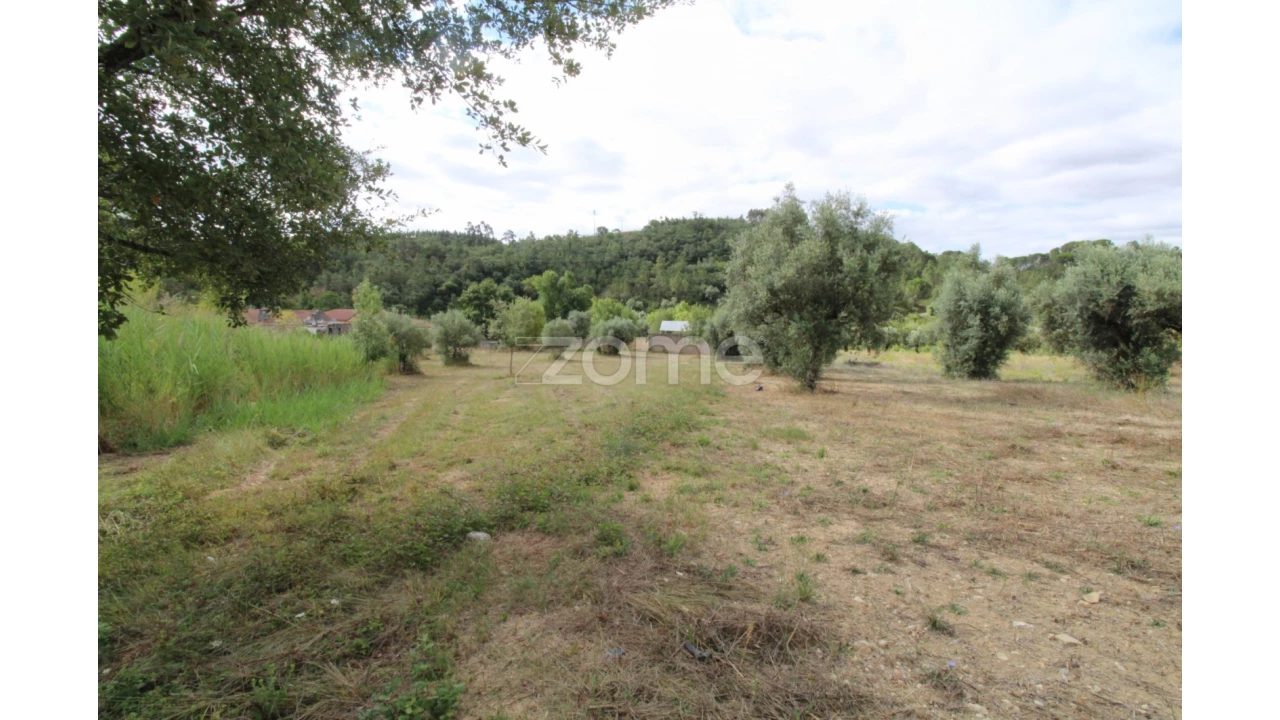 Terreno para Venda em Eiras e São Paulo de Frades Foto 11