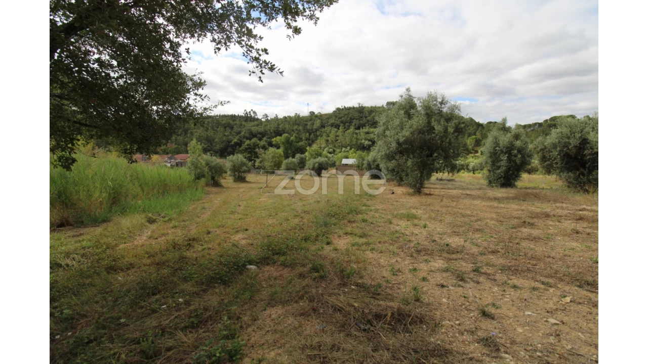 Terreno para Venda em Eiras e São Paulo de Frades Foto 12