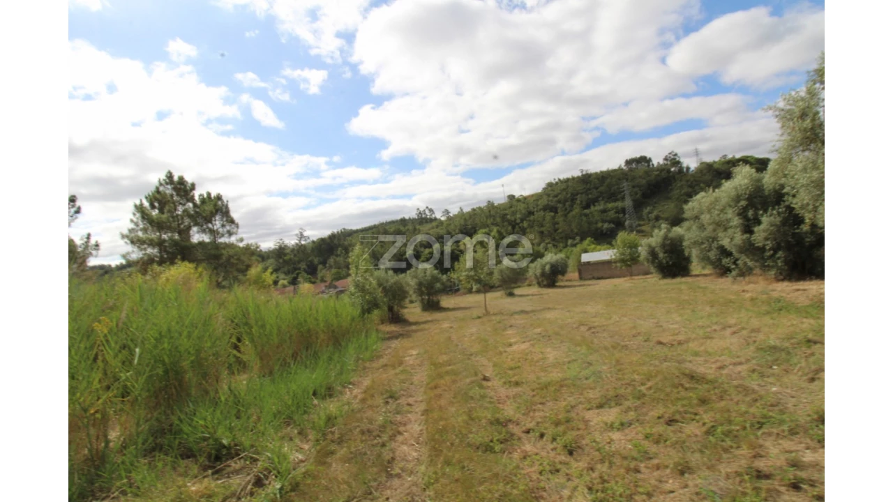 Terreno para Venda em Eiras e São Paulo de Frades Foto 14
