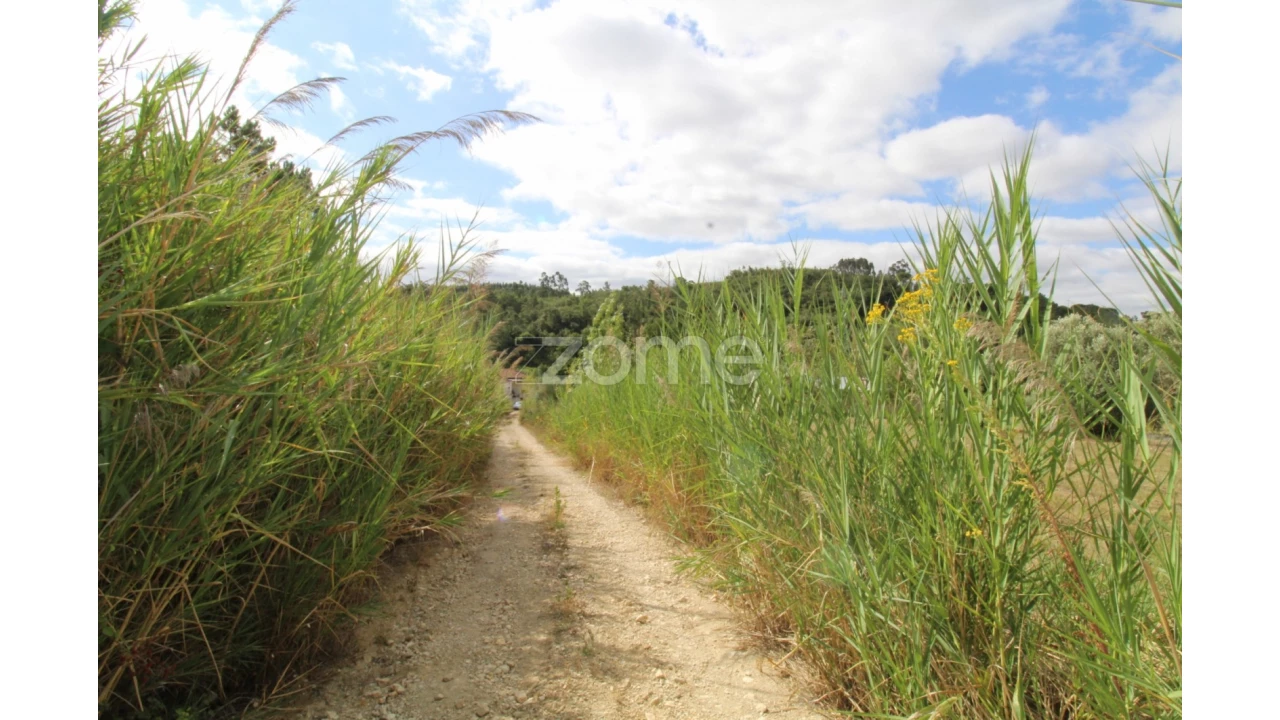 Terreno para Venda em Eiras e São Paulo de Frades Foto 15
