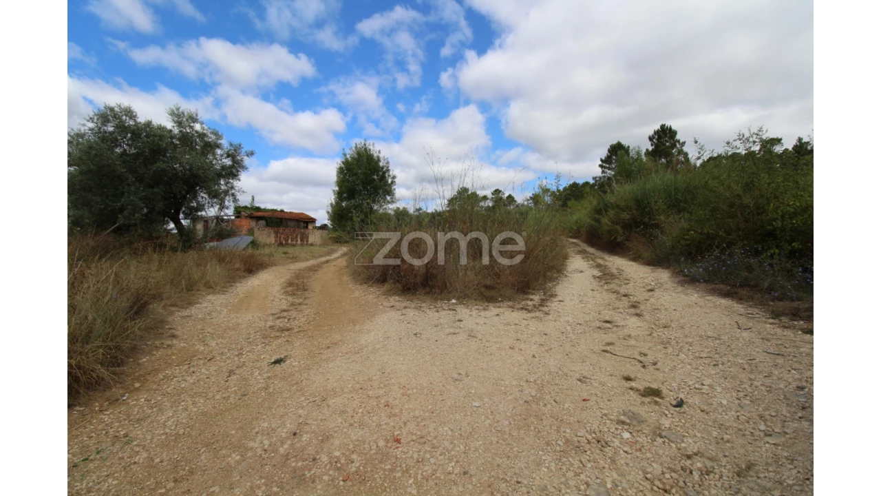 Terreno para Venda em Eiras e São Paulo de Frades Foto 16