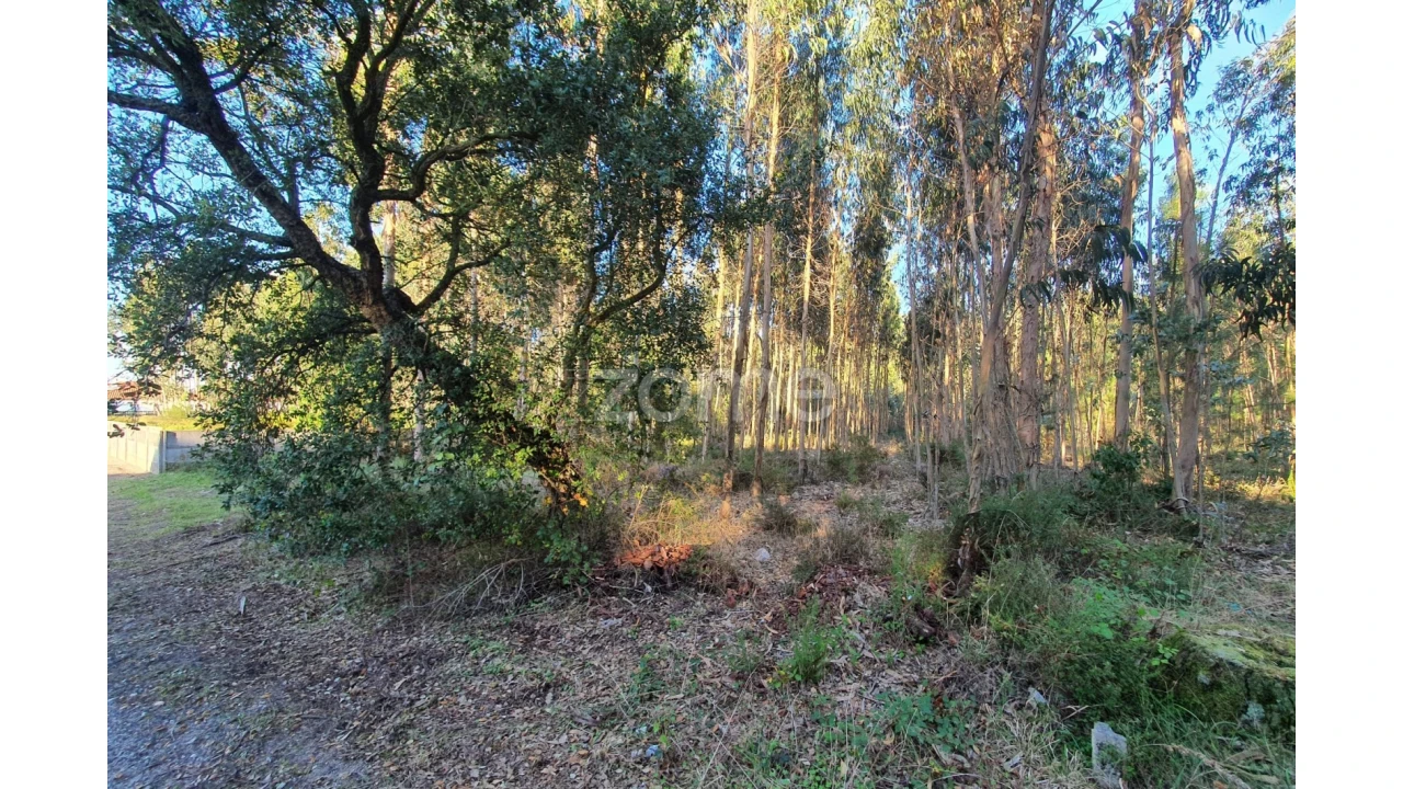 Terreno para Venda em Marinha Grande Foto 3