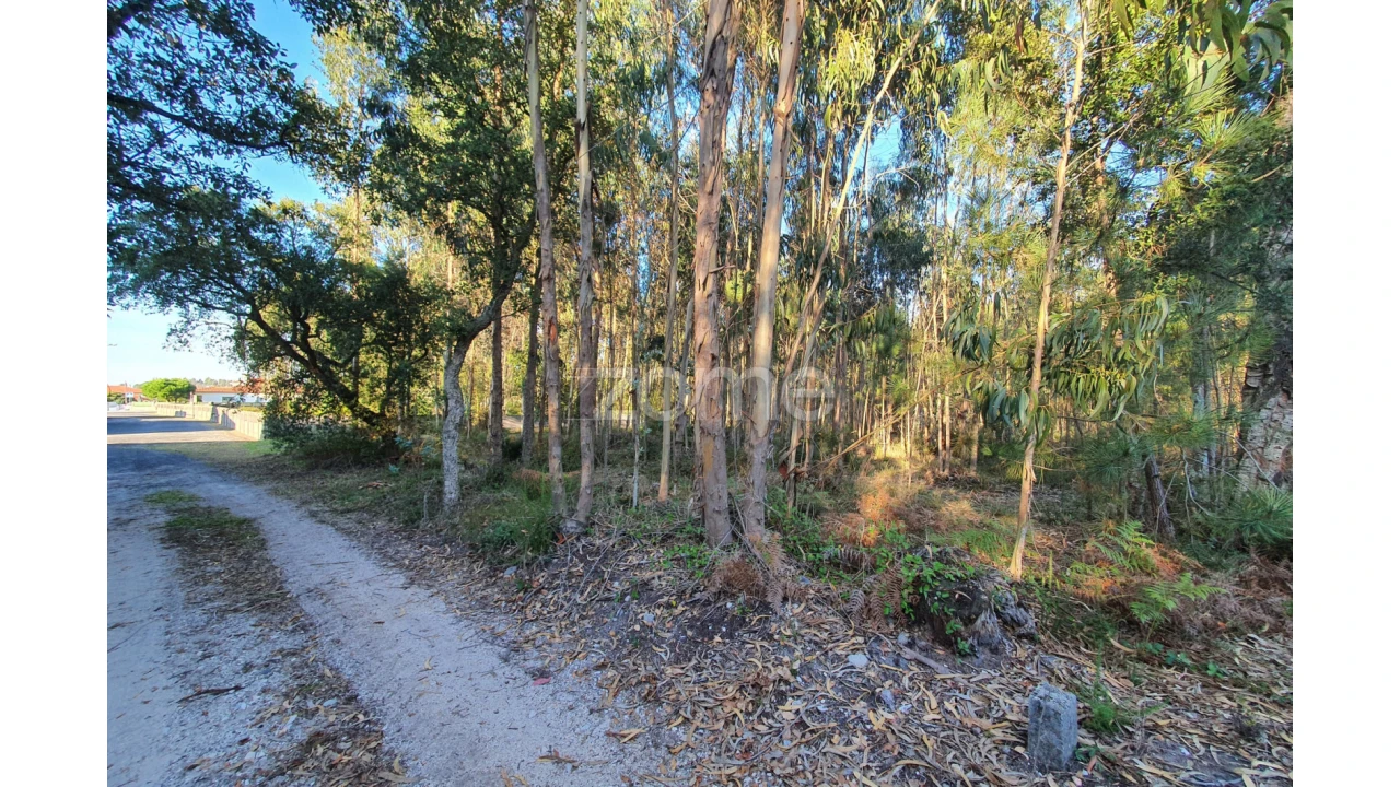 Terreno para Venda em Marinha Grande Foto 11