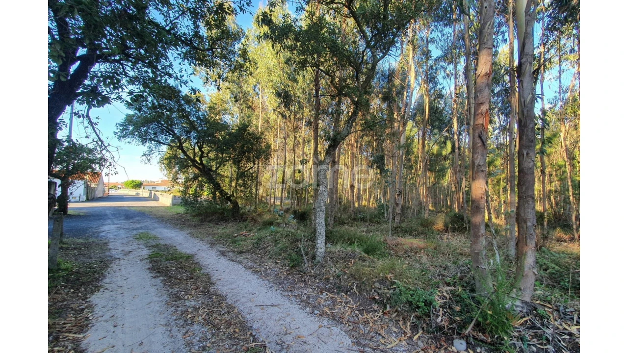 Terreno para Venda em Marinha Grande Foto 1