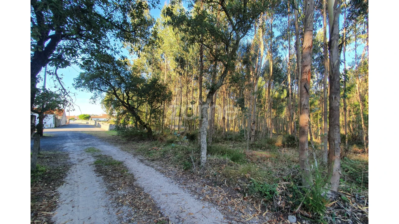 Terreno para Venda em Marinha Grande Foto 14