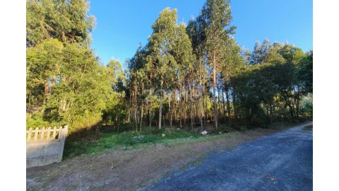 Terreno para Venda em Marinha Grande