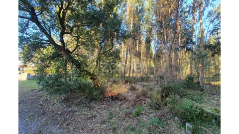 Terreno para Venda em Marinha Grande