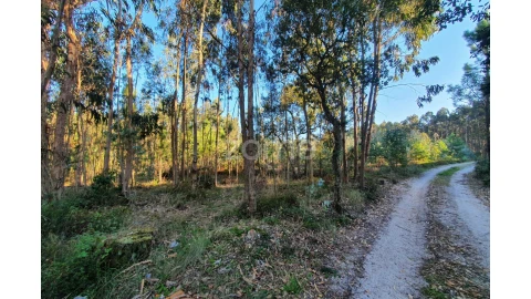 Terreno para Venda em Marinha Grande