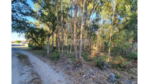 Terreno para Venda em Marinha Grande