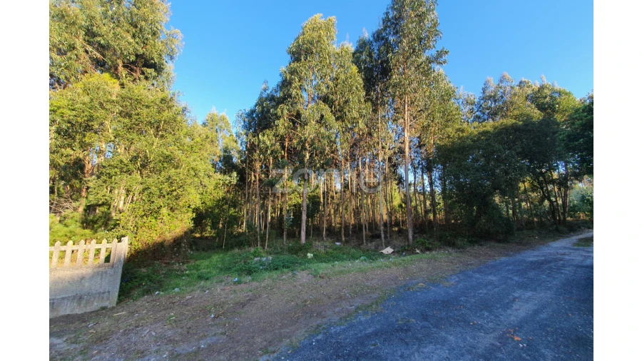 Terreno para Venda em Marinha Grande Foto 8
