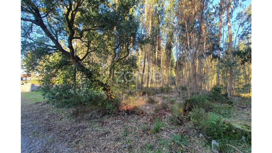 Terreno para Venda em Marinha Grande Foto 9