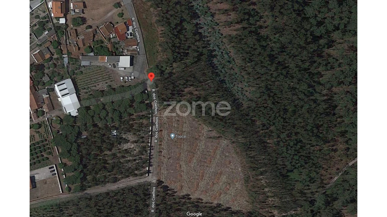 Terreno para Venda em Marinha Grande Foto 15