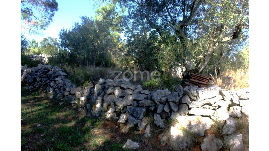 Terreno para Venda em Mira de Aire Foto 5