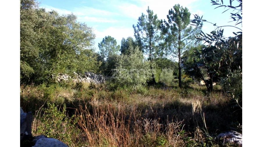 Terreno para Venda em Mira de Aire Foto 21